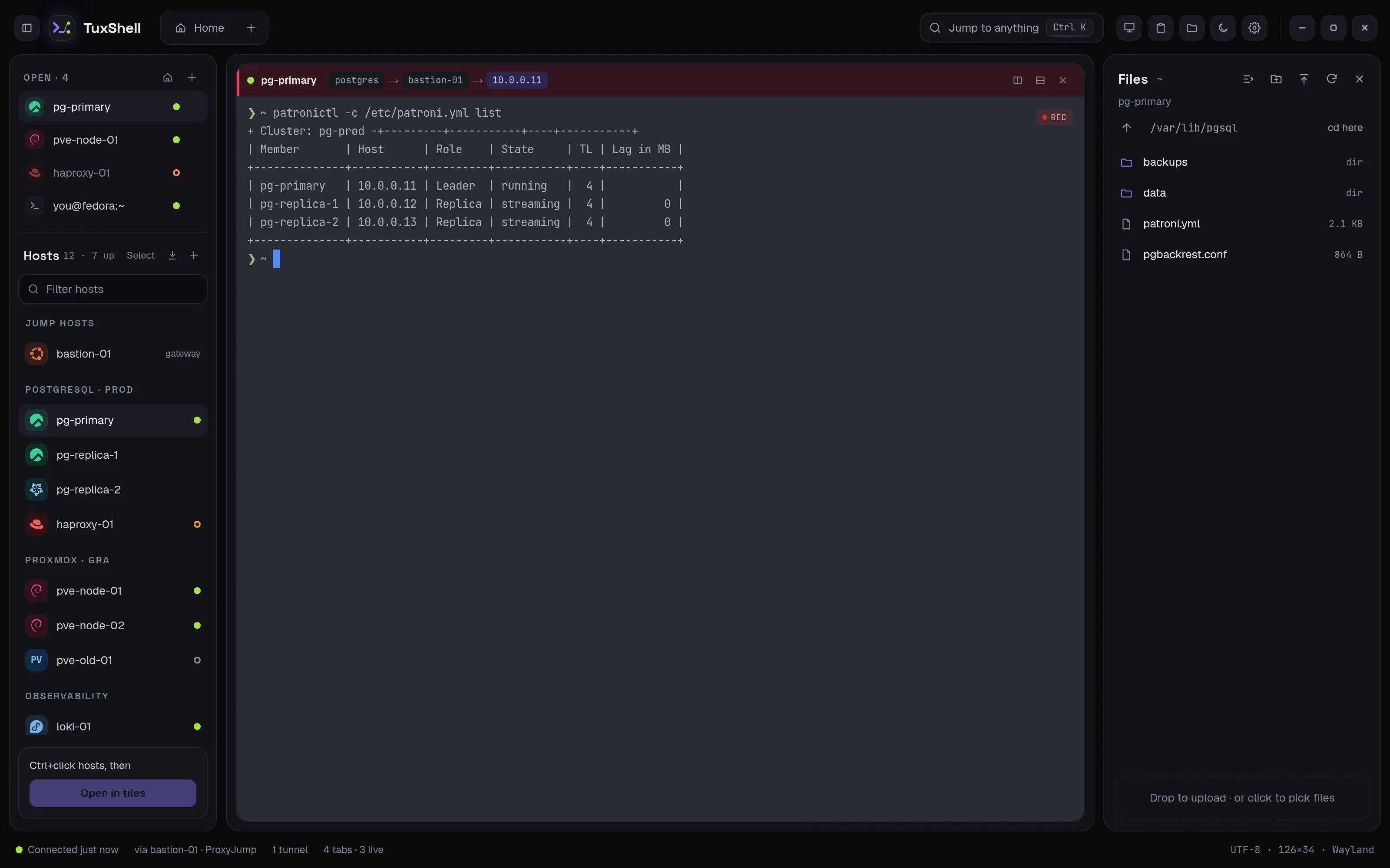 File panel on the right showing /var/lib/pgsql on pg-primary, beside a terminal