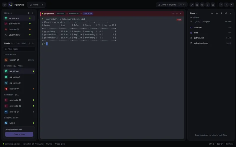 File panel on the right showing /var/lib/pgsql on pg-primary, beside a terminal